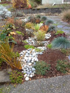 We had an old slate garden path. Seattle Rain Garden reinstalled it with a great new foundation (it looks better than ever!)