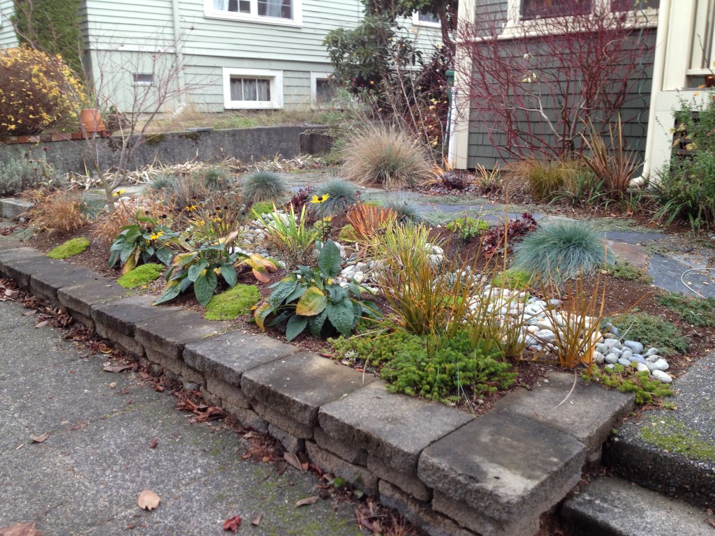 Brooke's sweet rain garden is a perfect fit for their lovely front yard!