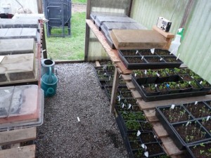 Greenhouse Filling Up!
