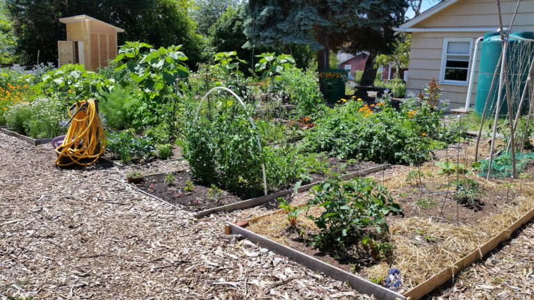 Edible Garden Tour – sustainable BALLARD